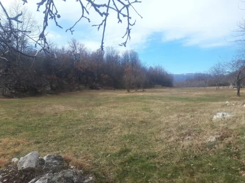 Prodaja, plac, 5000m², Danilovgrad, Crna Gora - image 10