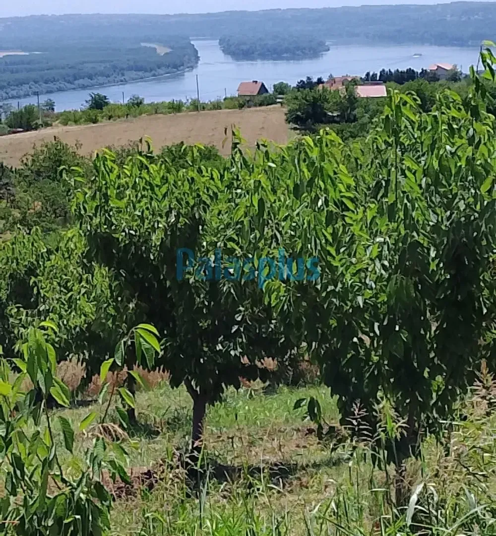 Prodaja, plac, 2476m², Plavinci, Grocka