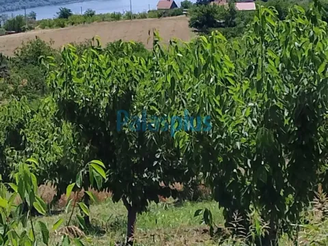 Sale, land lot, 2476m², Plavinci, Grocka - image 2