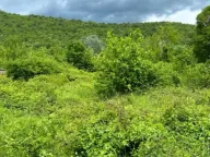 Sale, land lot, 523m², Pažići, Danilovgrad - image 5