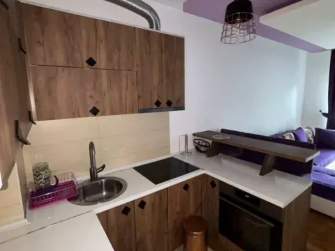 Izdavanje, jednosoban stan, 28m², Maslinjak, Budva - image 5