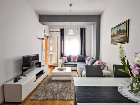 Izdavanje, jednosoban stan, 42m², Ljubović, Podgorica - image 2