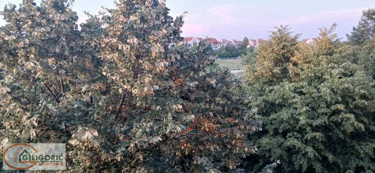 Prodaja, trosoban stan, 78m², Bezanijska Kosa 1, Bežanijska Kosa Sve Podlokacije