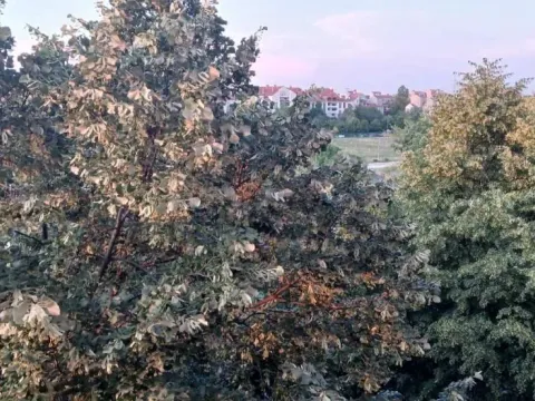 Prodaja, trosoban stan, 78m², Bezanijska Kosa 1, Bežanijska Kosa Sve Podlokacije - image 10