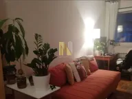 Izdavanje, garsonjera, 25m², Centar, Novi Sad - image 2