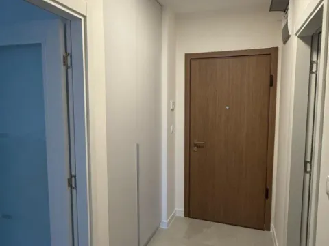 Izdavanje, jednosoban stan, 49m², Central Point, Podgorica - image 10