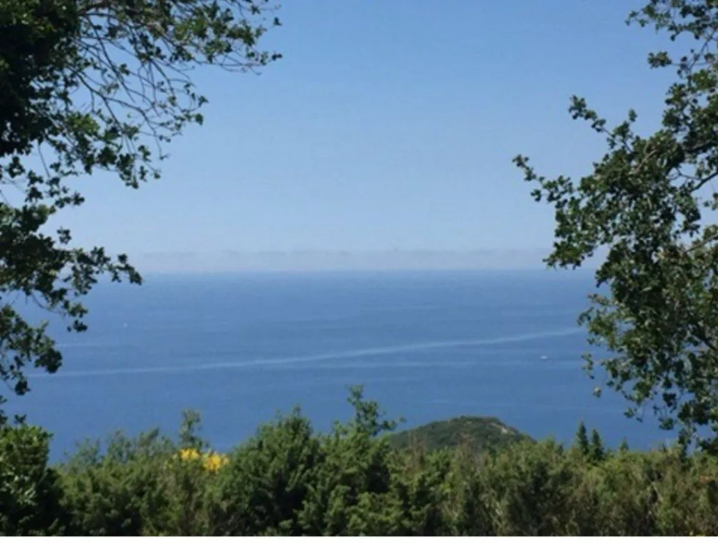 Prodaja, plac, 304m², Blizikuće, Budva