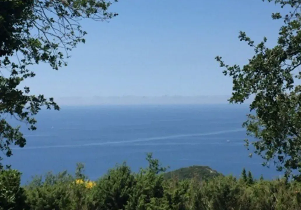 Sale, land lot, 304m², Blizikuće, Budva