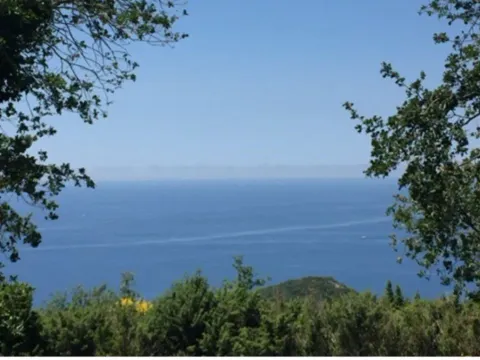 Sale, land lot, 304m², Blizikuće, Budva