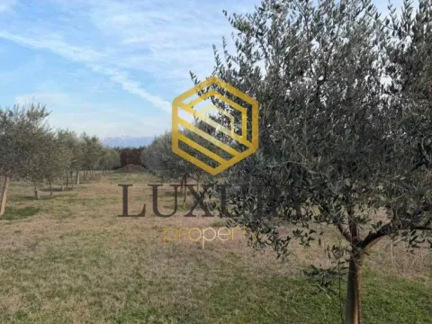 Prodaja, kuća, 122m², Zeta, Podgorica - image 4