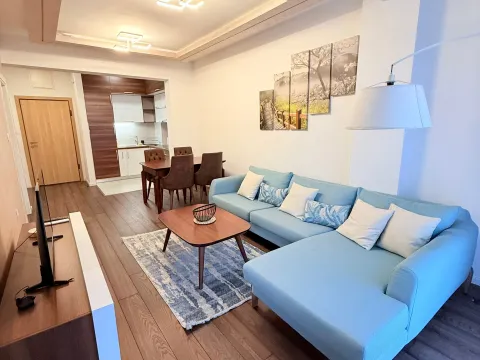 Izdavanje, jednosoban stan, 50m², Vezirov Most, Podgorica - image 5