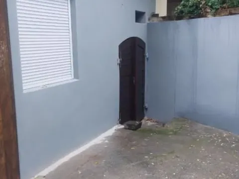 Izdavanje, kuća, 135m², Centar, Novi Sad - image 16