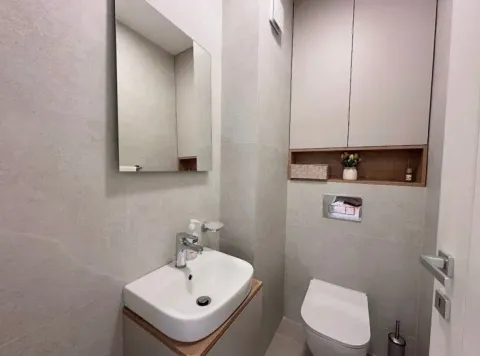 Modern bathroom equipped with a washbasin, toilet, and wall cabinet with a mirror. - image 16