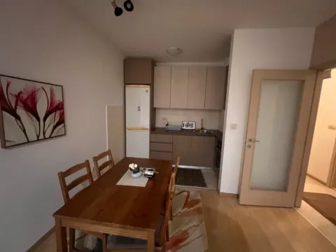 Izdavanje, jednosoban stan, 47m², City Kvart, Podgorica - image 5