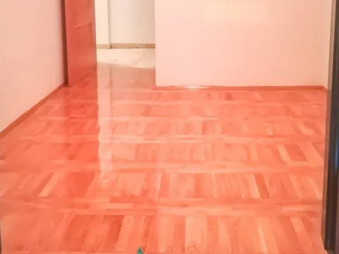 Izdavanje, jednosoban stan, 65m², Preko Morače, Podgorica - image 12