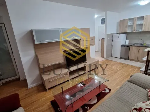Rent, one bedroom apartment, 42m², Zagorič, Podgorica - image 2