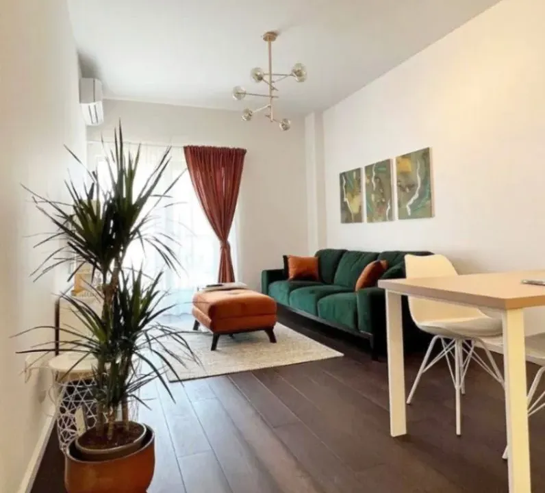 Rent, one bedroom apartment, 48m², Vezirov Most, Podgorica