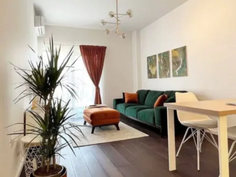 Rent, one bedroom apartment, 48m², Vezirov Most, Podgorica