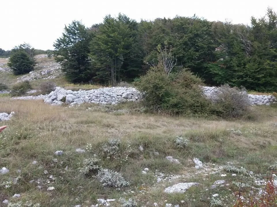 Prodaja, plac, 20000m², Cetinje, Crna Gora