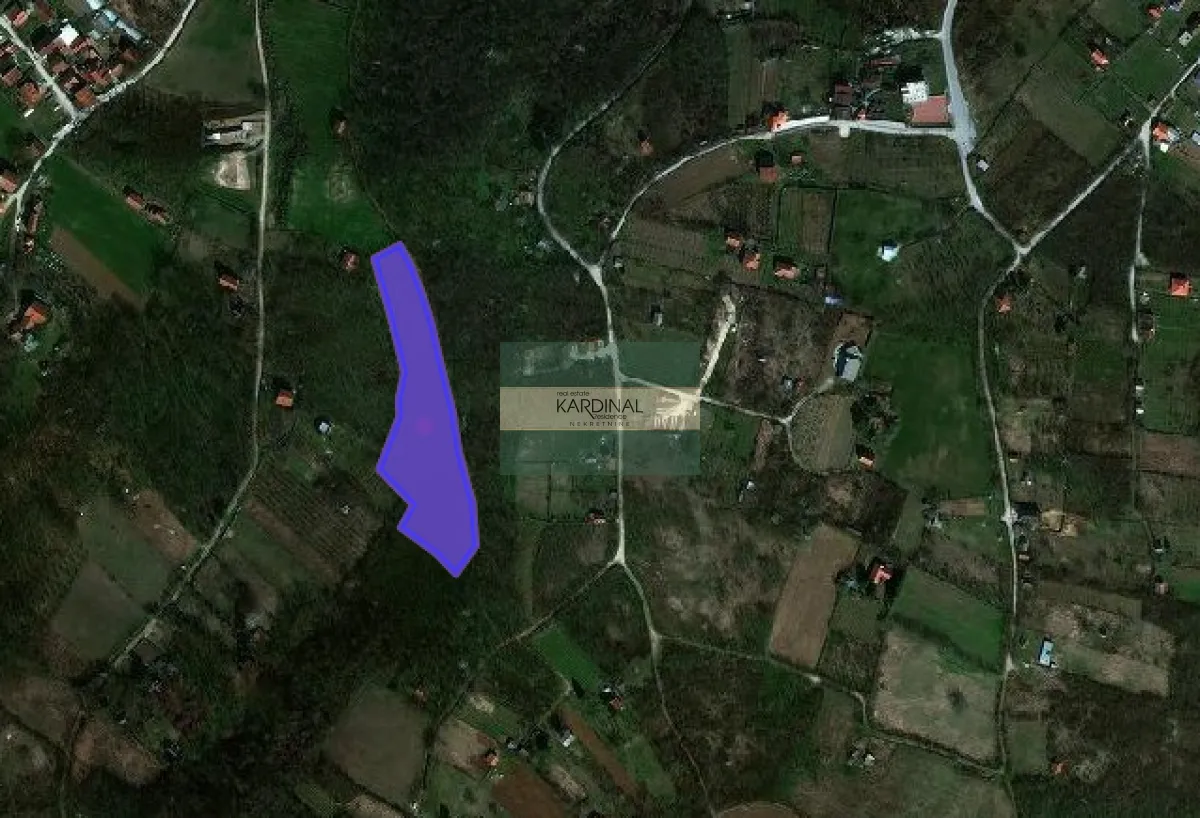 Prodaja, plac, 9278m², Đurđevo brdo, Jagodina