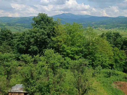 Prodaja, kuća, 360m², Ugrinovci, Gornji Milanovac - image 5