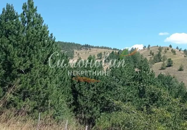 Prodaja, plac, 212100m², Divčibare, Valjevo