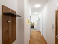 Izdavanje, jednosoban stan, 38m², Telep, Novi Sad Sve Podlokacije - image 9