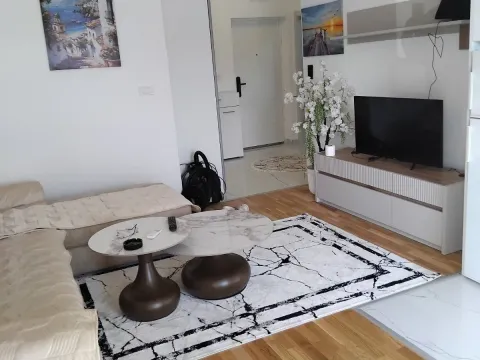 Izdavanje, stan, 47m², Zabjelo, Podgorica - image 4