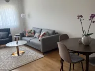 Izdavanje, jednosoban stan, 49m², Central Point, Podgorica - image 5