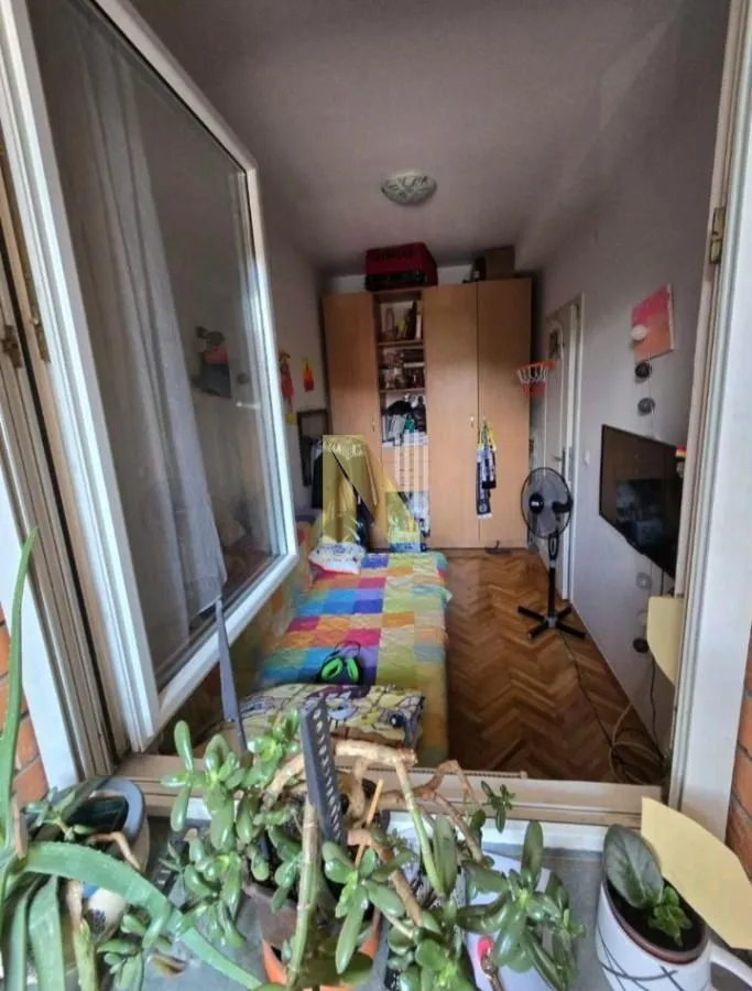 Rent, one bedroom apartment, 44m², Detelinara, Novi Sad Sve Podlokacije