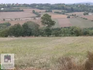 Prodaja, plac, 48m², Draževac, Obrenovac - image 3