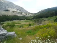 Prodaja, jednosoban stan, 150m², Zabrđe, Andrijevica