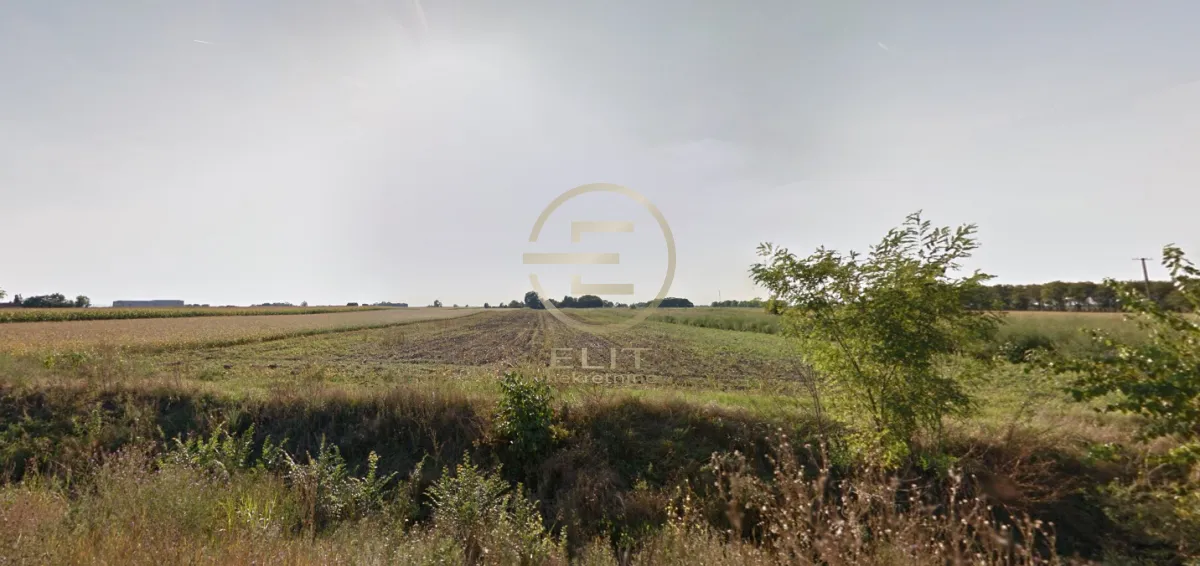 Prodaja, plac, 265m², Čenej, Novi Sad Sve Podlokacije