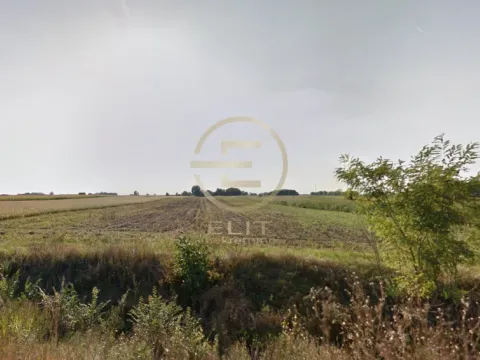 Sale, land lot, 265m², Čenej, Novi Sad Sve Podlokacije