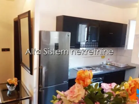 Izdavanje, dvosoban stan, 55m², Lekino Brdo, Voždovac Sve Podlokacije - image 4