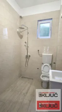 Bathroom equipped with a walk-in shower, toilet, and washbasin. - image 12