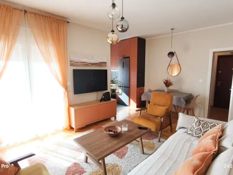 Rent, one bedroom apartment, 48m², Zabjelo, Podgorica - image 3