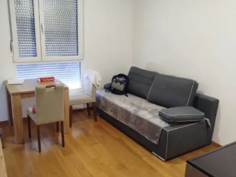 Izdavanje, jednosoban stan, 34m², Zabjelo, Podgorica - image 7