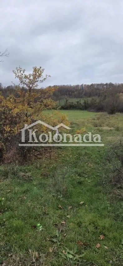 Prodaja, plac, 2800m², Sopot, Beograd
