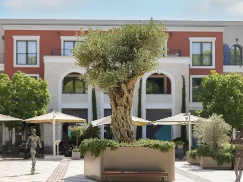 Sale, one bedroom apartment, 64m², Luštica Bay, Tivat - image 10