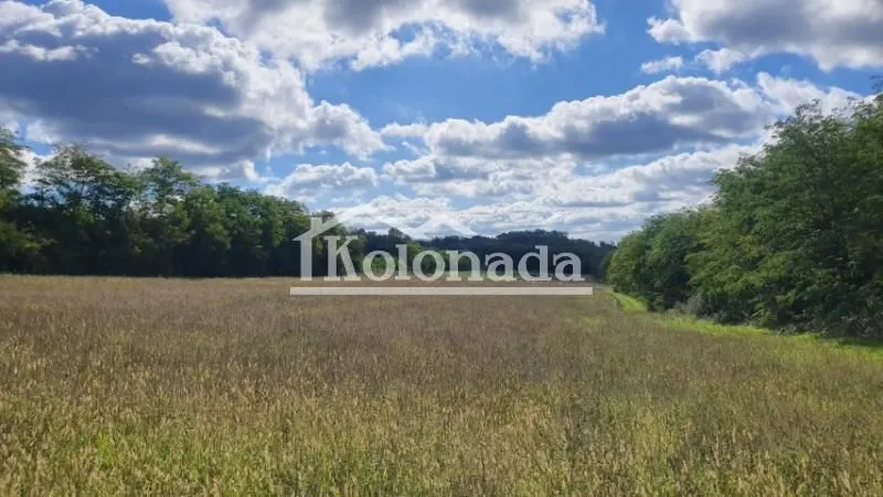 Prodaja, plac, 7600m², Dučina, Sopot
