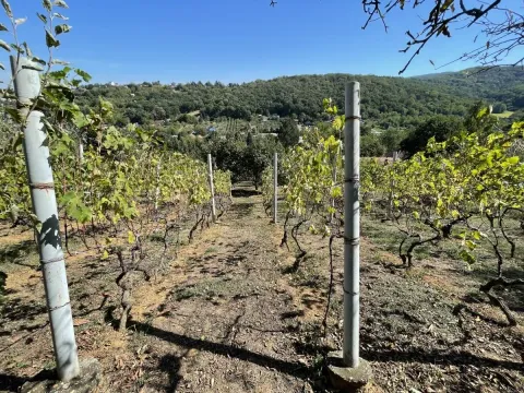 Prodaja, kuća, 54m², Paragovo, Petrovaradin - image 23