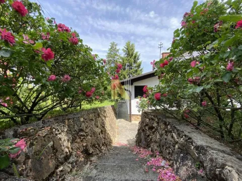 Sale, house, 97m², Rakovac, Novi Sad Sve Podlokacije