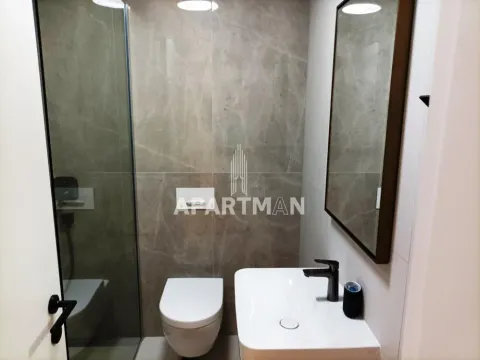 Izdavanje, četvorosoban stan, 120m², Stari Grad, Beograd - image 14