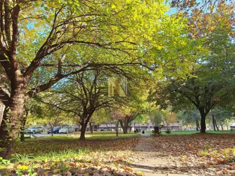 Izdavanje, trosoban stan, 84m², Liman 1, Novi Sad Sve Podlokacije - image 17