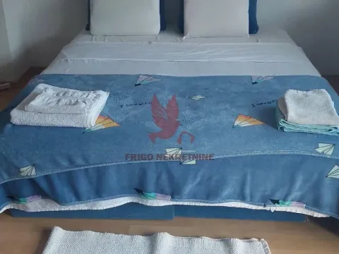 Prodaja, kuća, 1000m², Selters Banja, Mladenovac - image 12