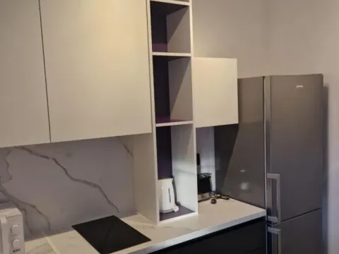 Izdavanje, jednosoban stan, 31m², Centar, Novi Sad - image 3