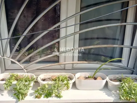 Prodaja, stan, 16m², Zemun Novi Grad, Zemun Sve Podlokacije - image 8