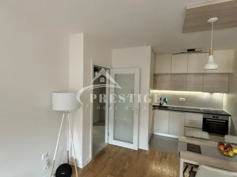 Izdavanje, jednosoban stan, 50m², Central Point, Podgorica - image 3