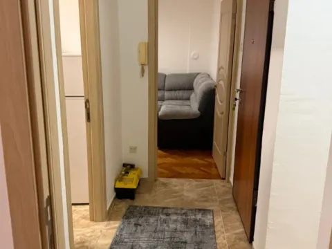 Izdavanje, jednosoban stan, 42m², Preko Morače, Podgorica - image 9